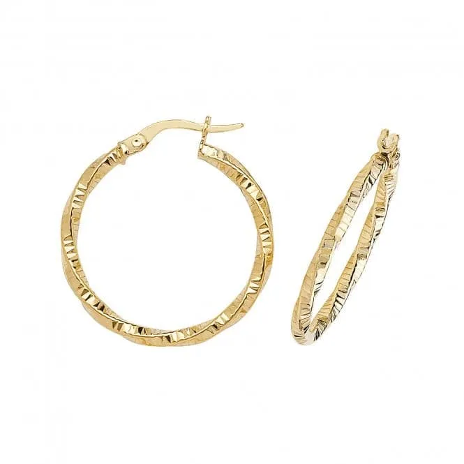 9ct Yellow Gold 50mm Double Circle Hoop Earrings ER963