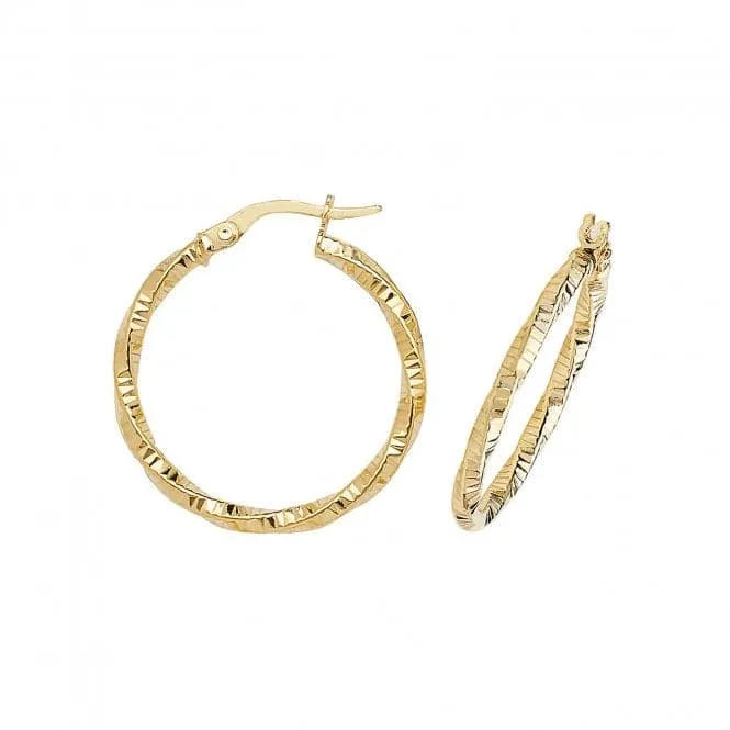 9ct Yellow Gold 50mm Double Circle Hoop Earrings ER963