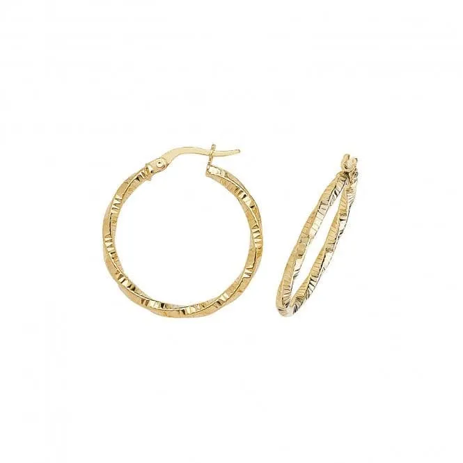 9ct Yellow Gold 50mm Double Circle Hoop Earrings ER963