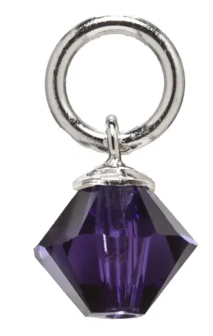 Sterling Silver Purple Swarovski Crystal Charm