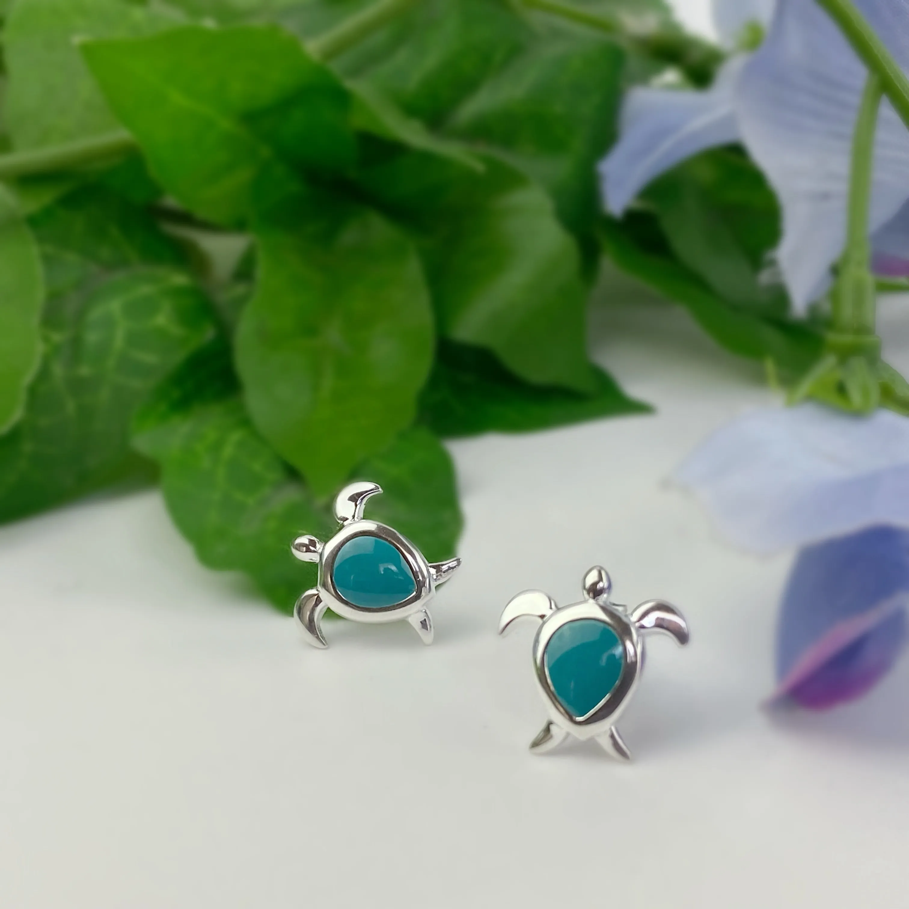 Turquoise Turtle Earrings - VE494TQ