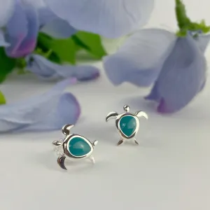 Turquoise Turtle Earrings - VE494TQ